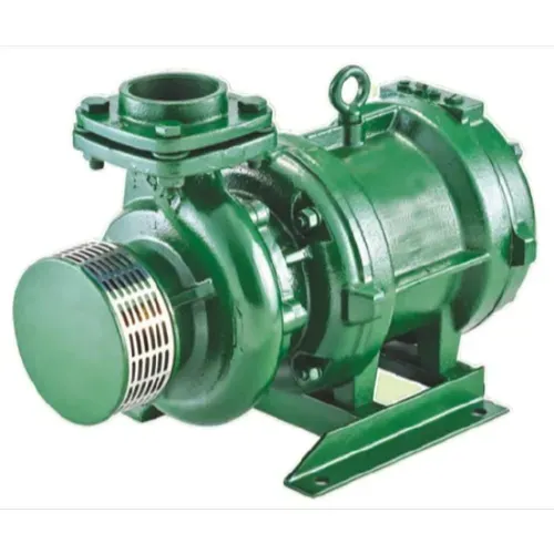 2 HP Cast Iron Openwell Pump